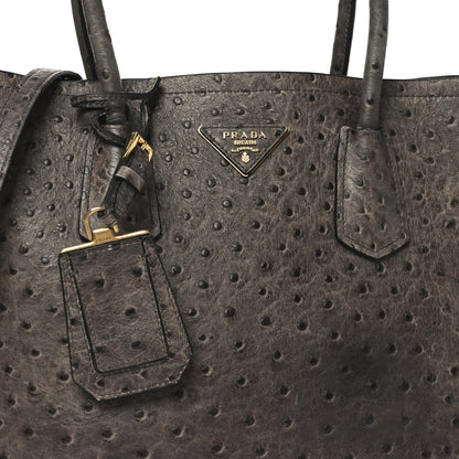 Prada Ostrich Double Bag Grey 7 of 9