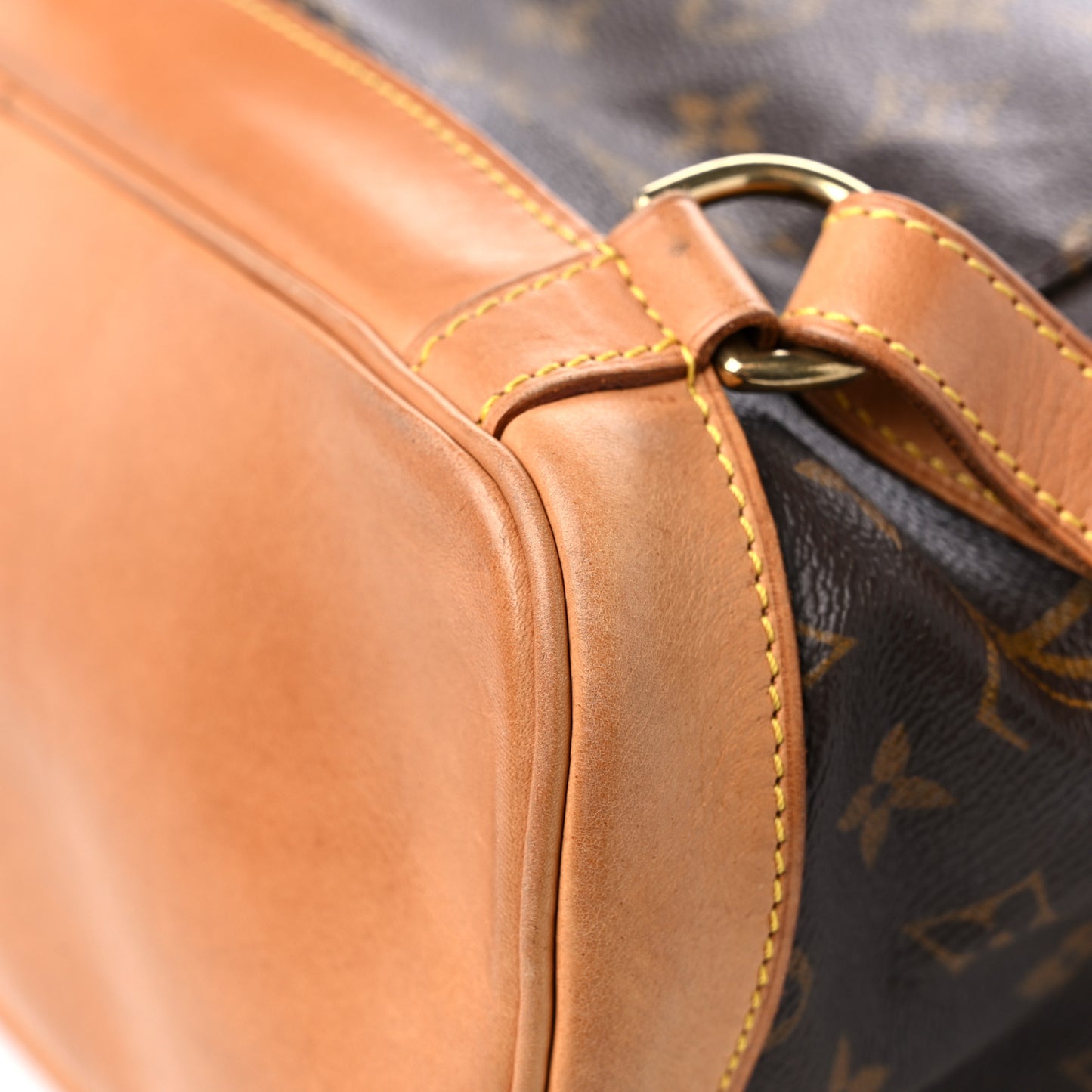 Monogram Montsouris GM Backpack