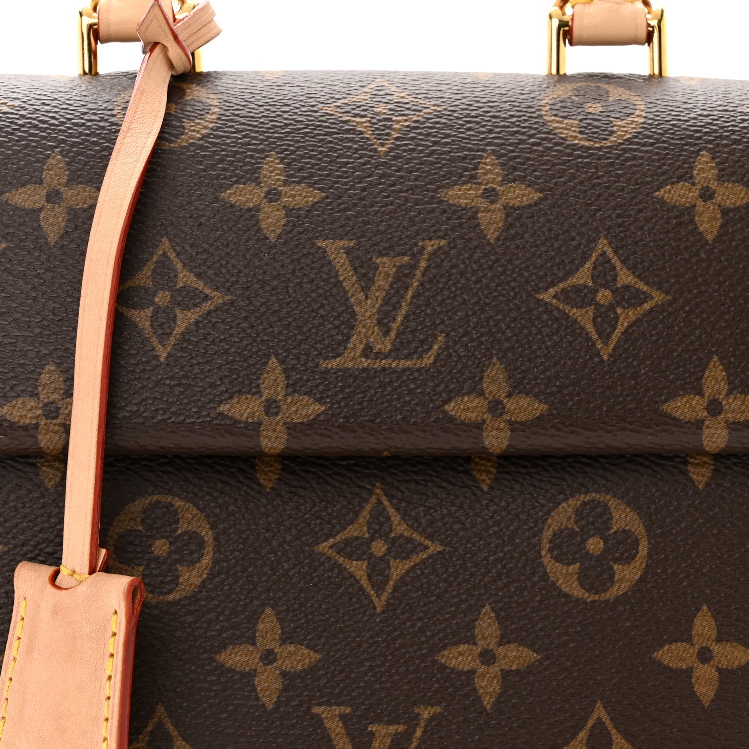 Louis Vuitton Monogram Mini Cluny 7 of 12