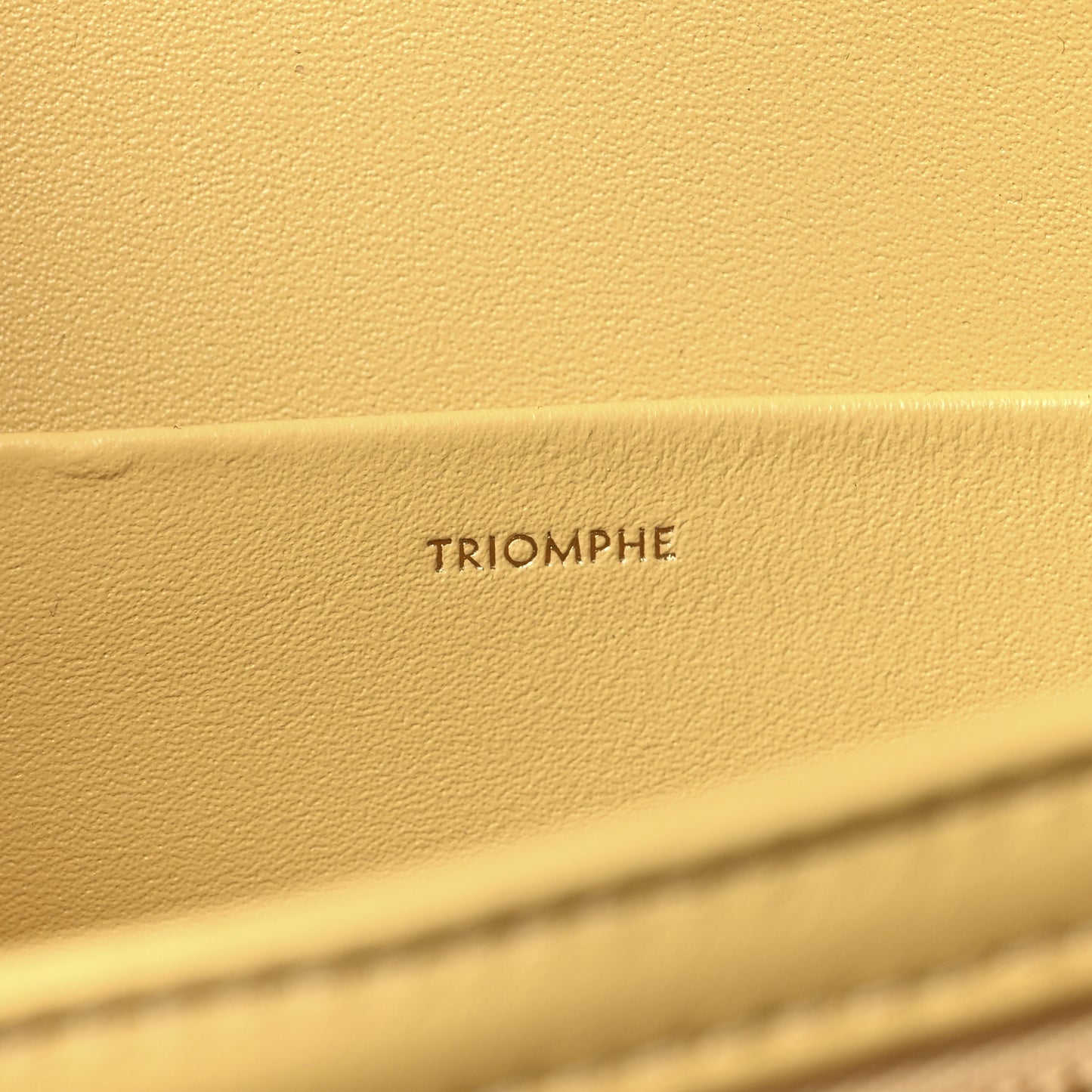 Shiny Calfskin Medium Triomphe Pollen