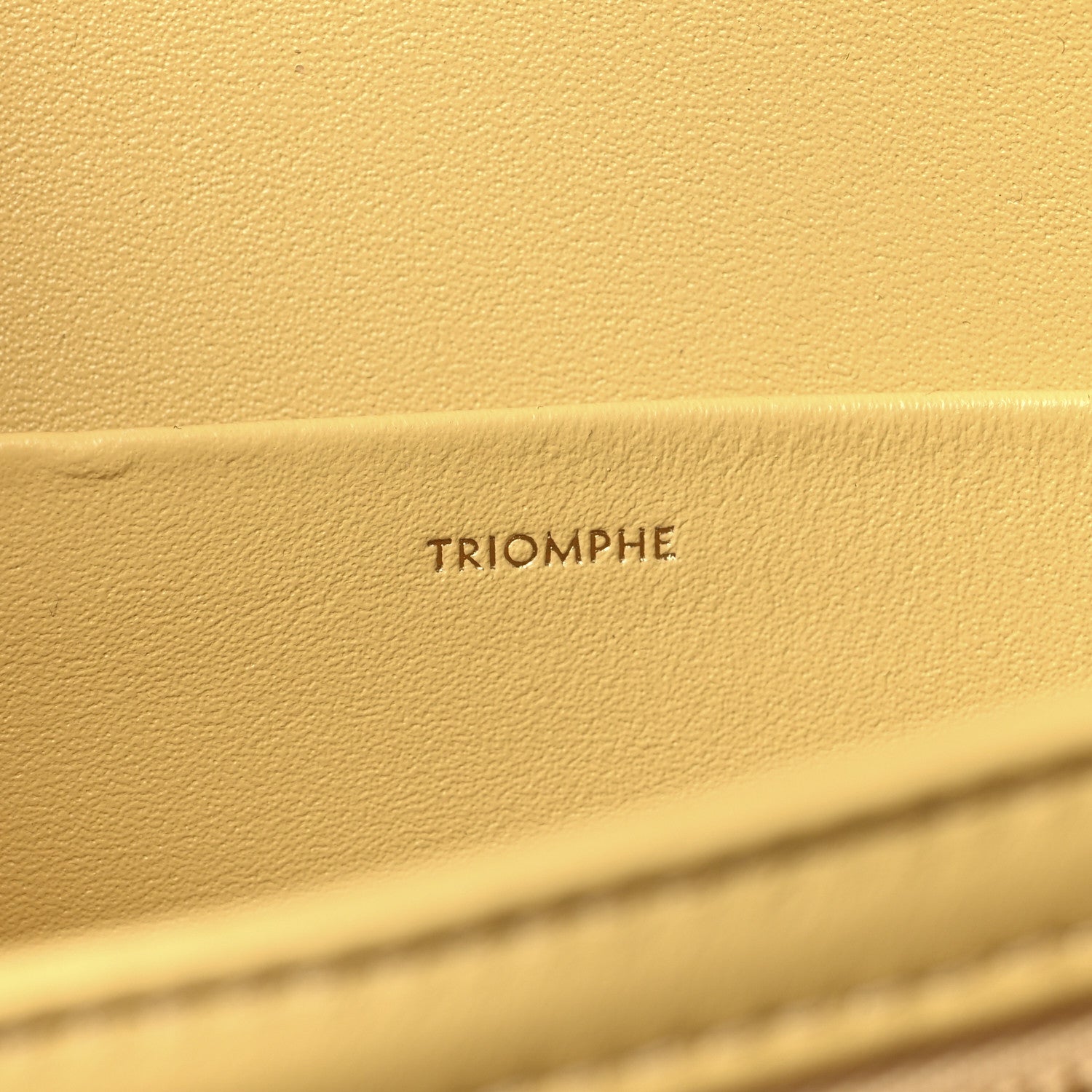 Celine Shiny Calfskin Medium Triomphe Pollen 7 of 11