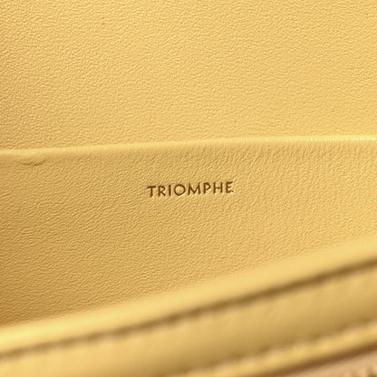 Celine Shiny Calfskin Medium Triomphe Pollen 7 of 11