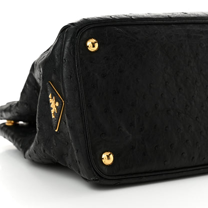 Prada Ostrich Tote Black 9 of 20