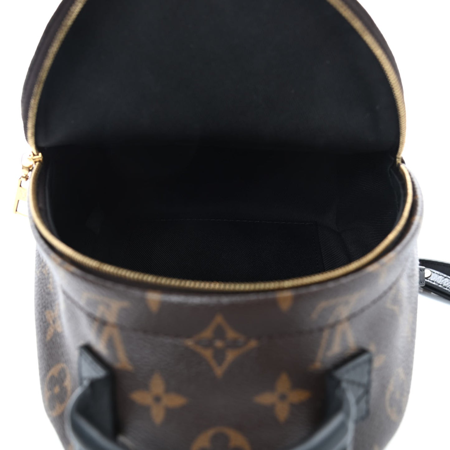 Monogram Palm Springs Backpack Mini