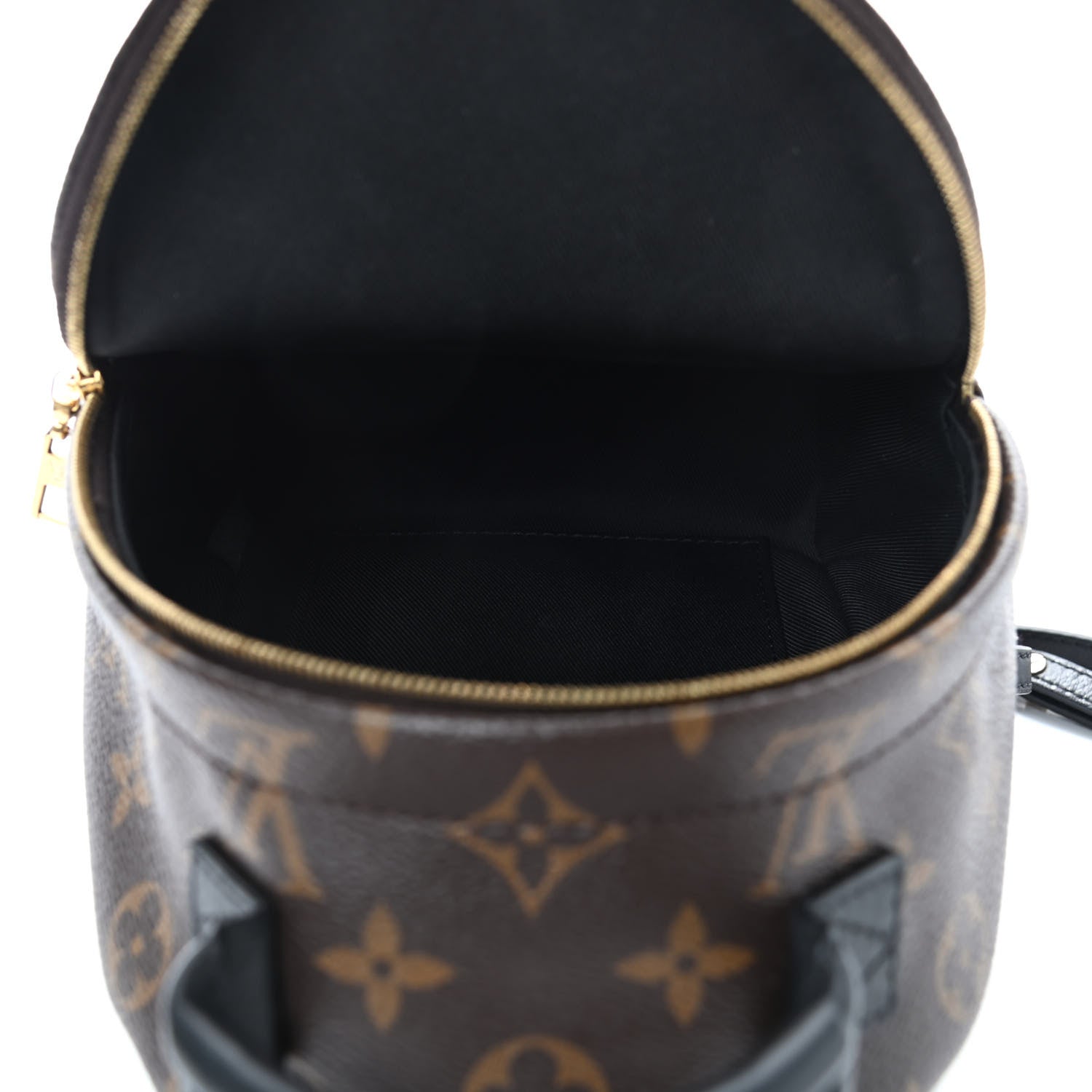 Louis Vuitton Monogram Palm Springs Backpack Mini 4 of 5