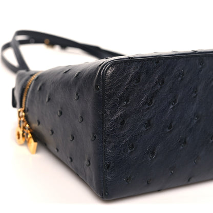 Loro Piana Ostrich Extra Bag L27 Navy 7 of 10