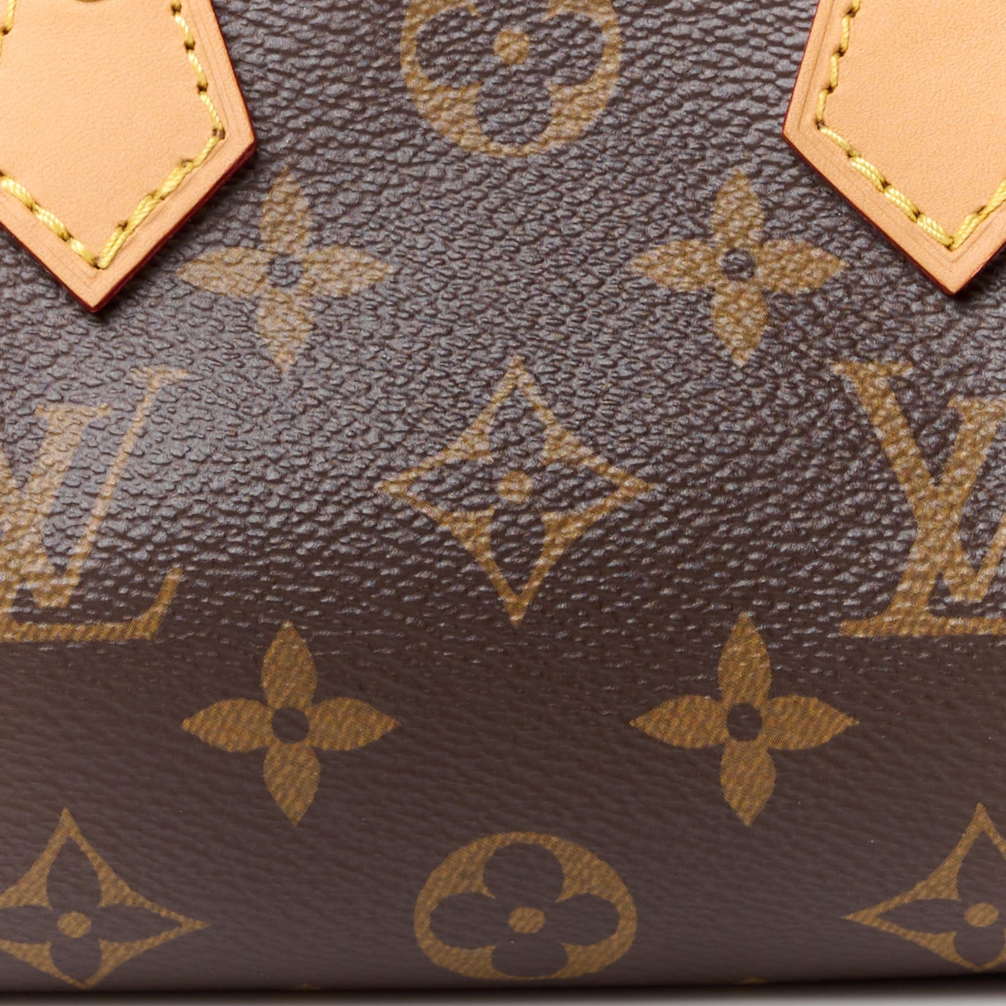 Monogram Nano Speedy Bandouliere