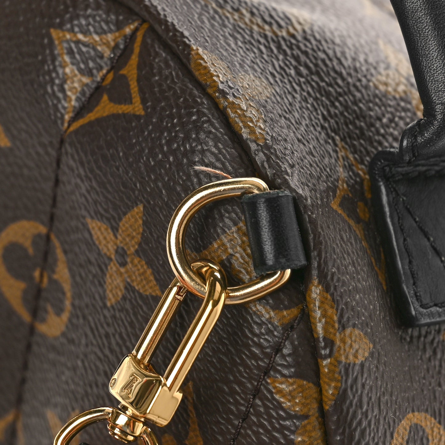 Monogram Palm Springs Backpack Mini