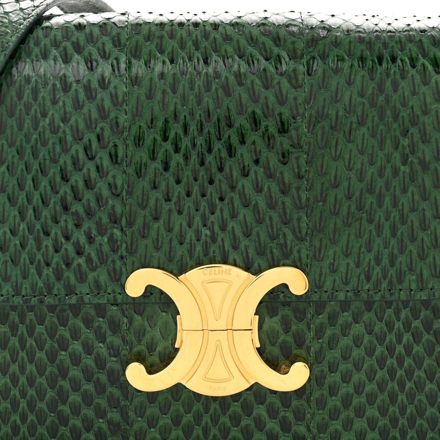 Celine Watersnake Teen Triomphe Green 8 of 11