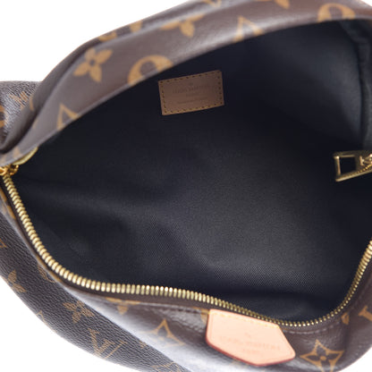 Louis Vuitton Monogram Bumbag 5 of 8