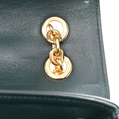 Celine Shiny Calfskin Medium C Bag Amazone 12 of 13