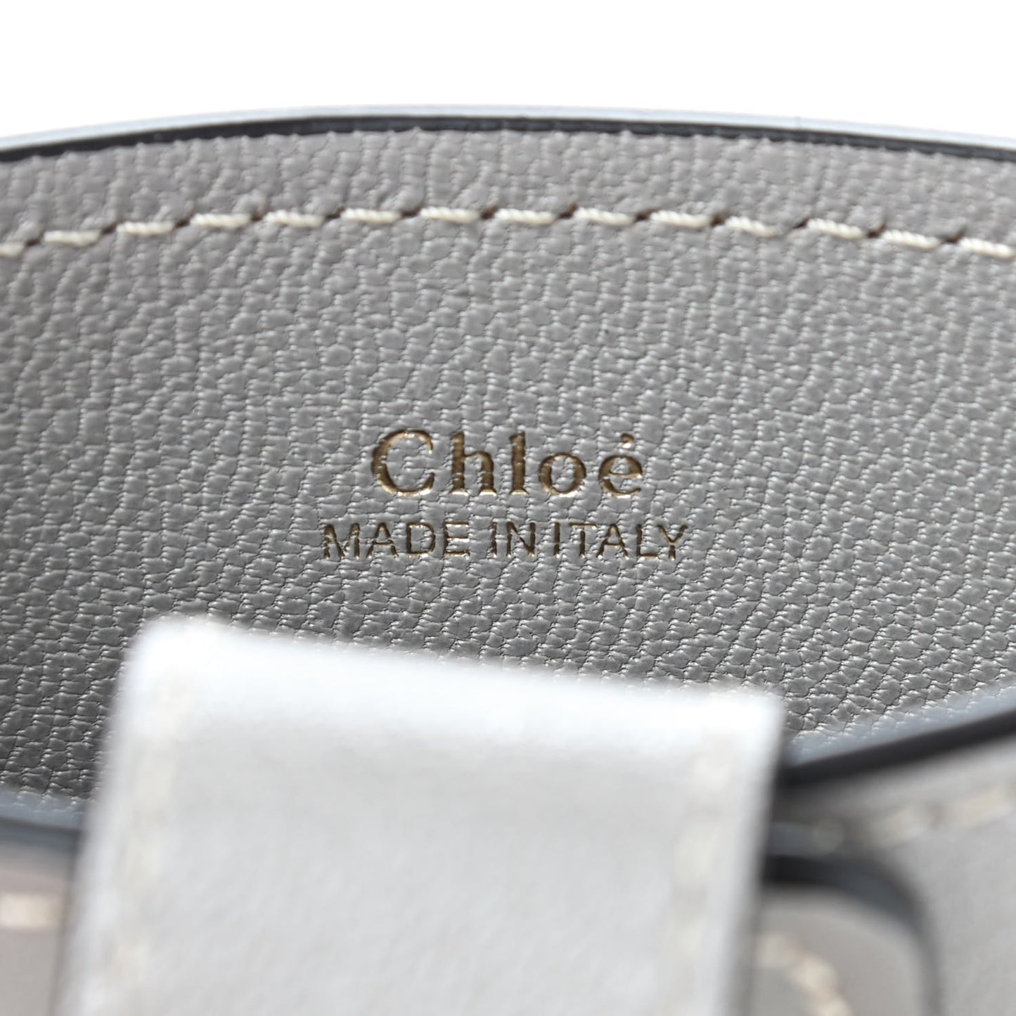 Shiny Calfskin Goatskin Mini Aby Bi-Color Bucket Light Eucalyptus