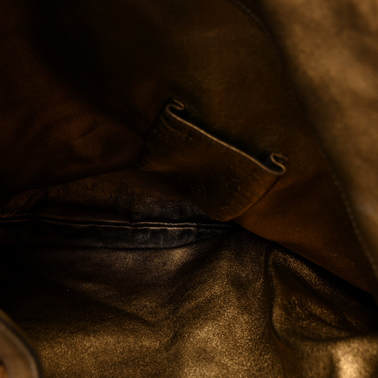 Snakeskin Large Indy Top Handle Hobo Gold