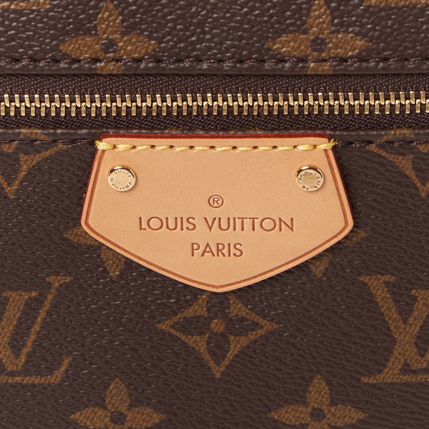 Louis Vuitton Monogram Iena MM 8 of 10