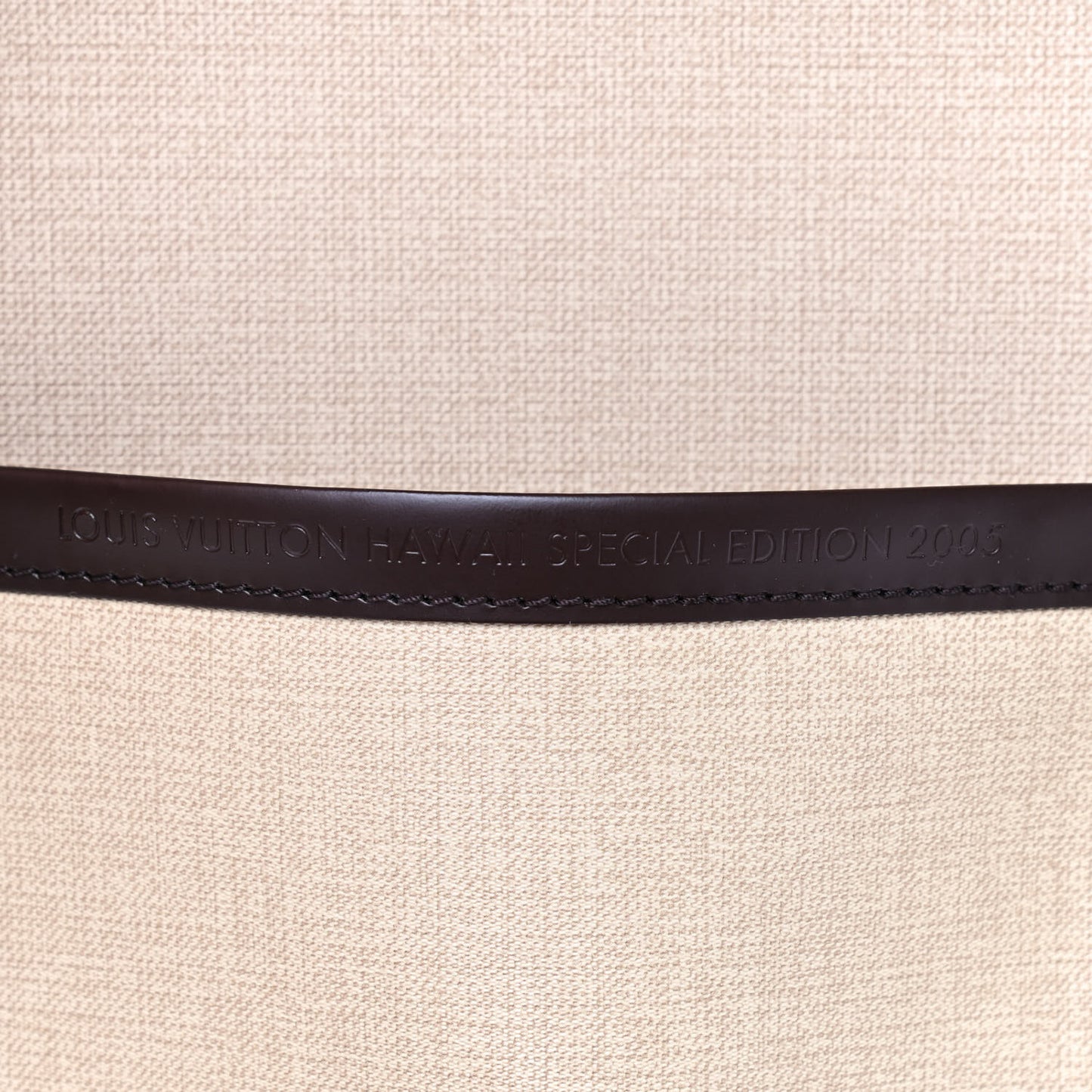 Damier Ebene Excursion Shoe Bag