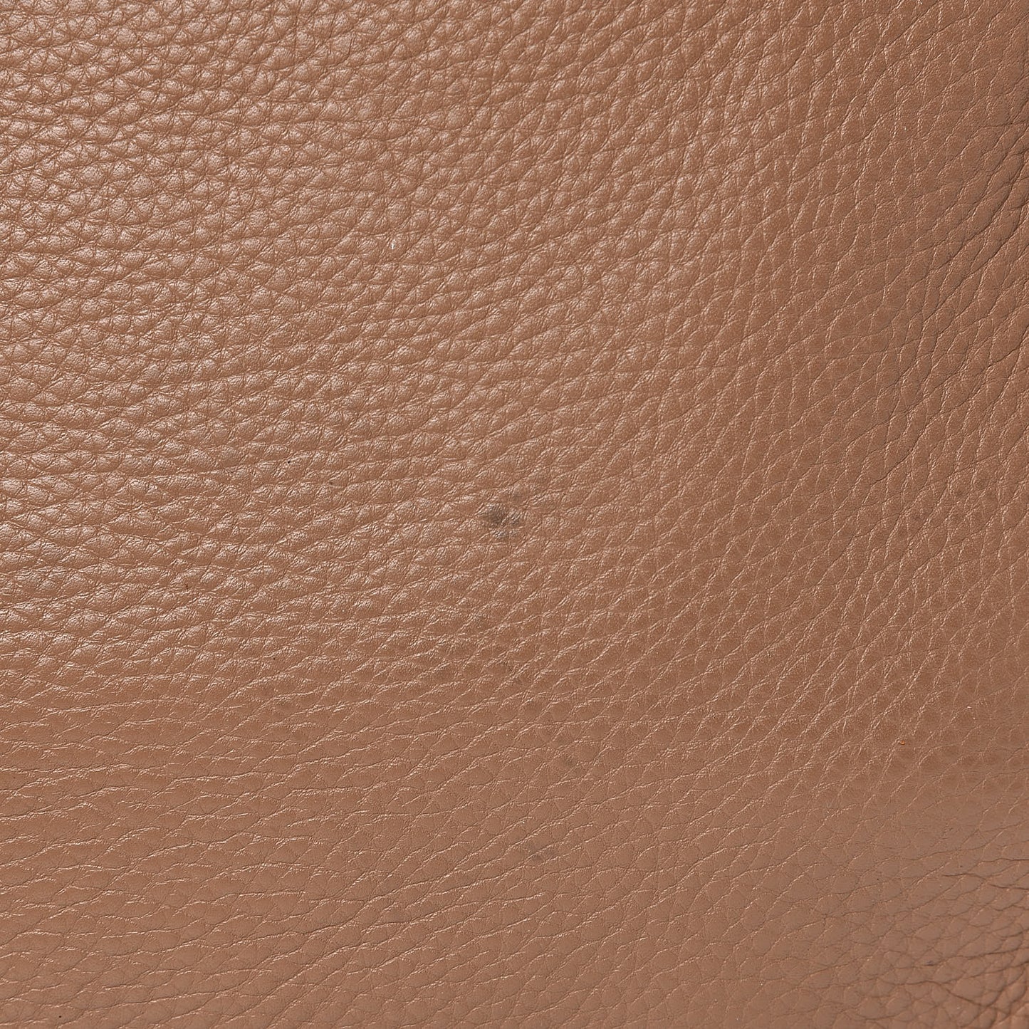 Calfskin Medium Marcie Hobo Nut