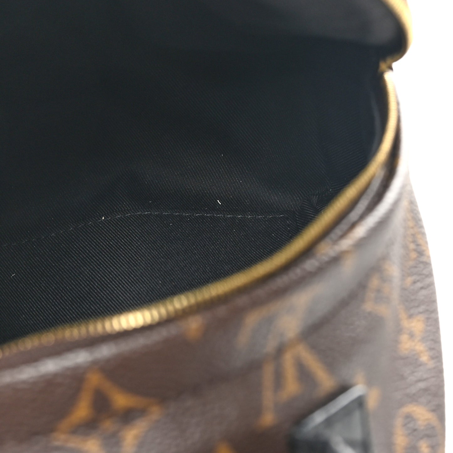 Monogram Palm Springs Backpack Mini