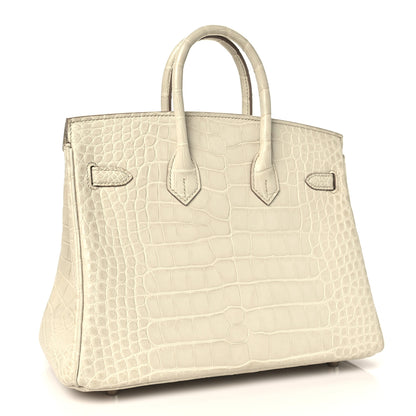 Hermes Matte Alligator Birkin 25 Beton 2 of 10