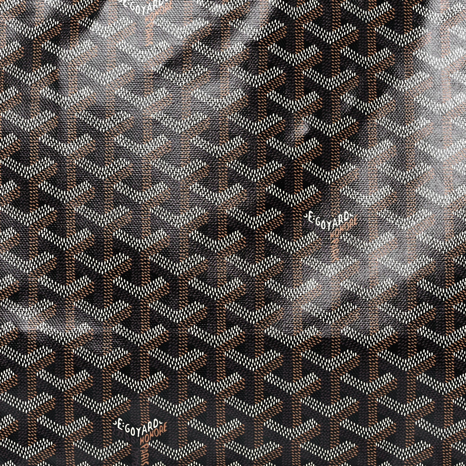 Goyard Goyardine Saint Louis PM Black 7 of 11