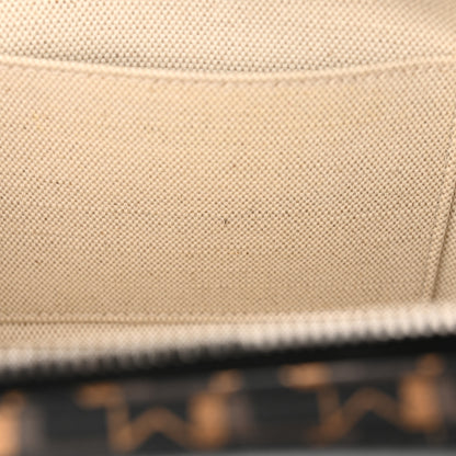 Moynat Toile 1920 Camera Bag Carbon Bronze Yellow 7 of 10