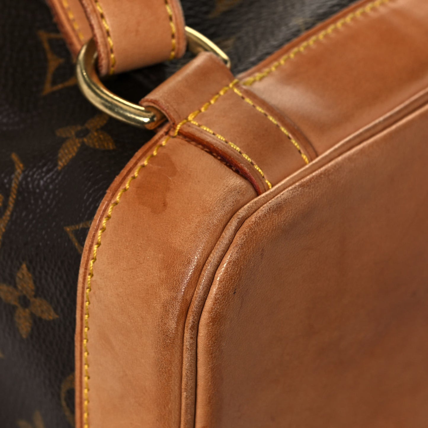 Monogram Montsouris GM Backpack