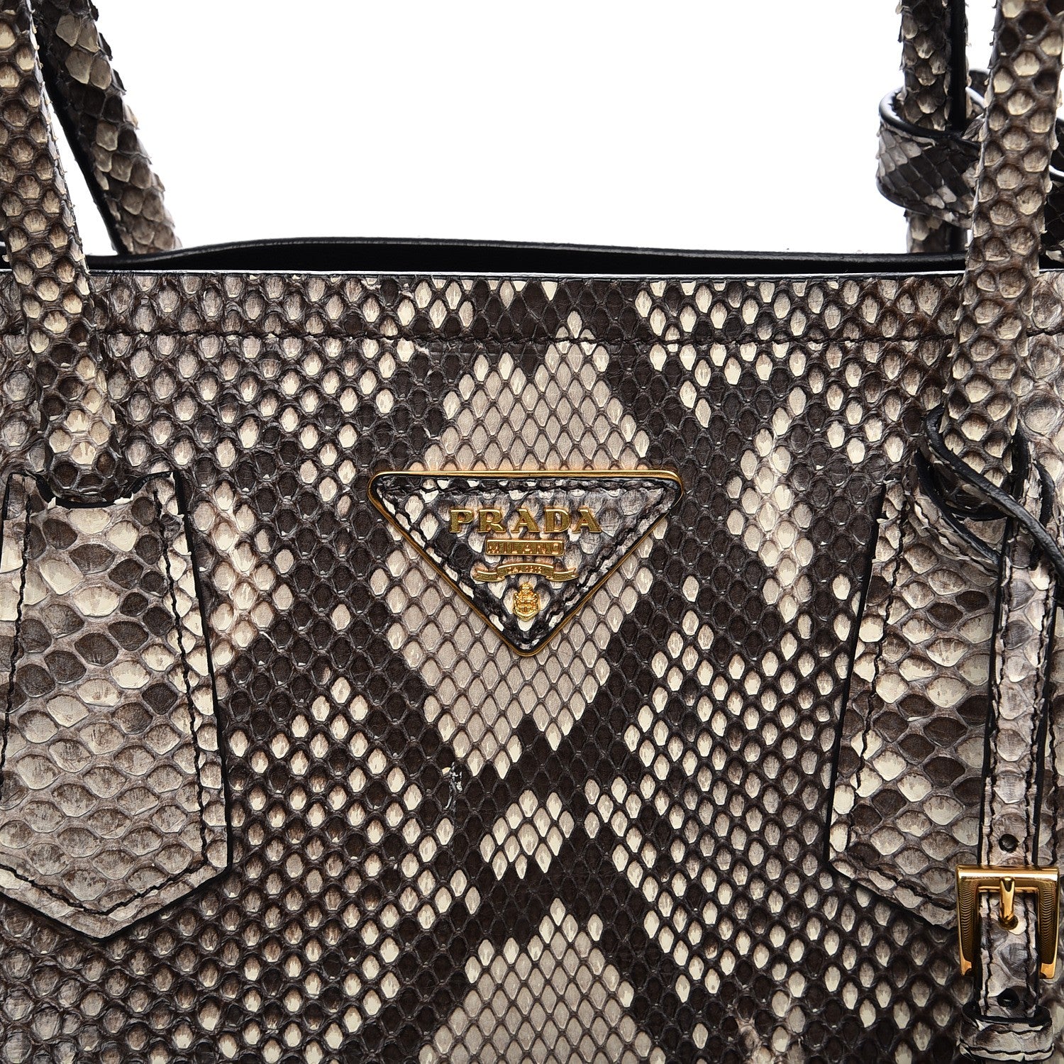 Prada Python Large Double Bag Roccia 8 of 13