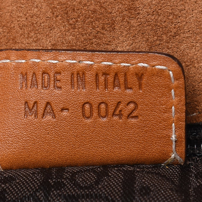 Christian Dior Calfskin Baudrier Saddle Bag Tan 6 of 13