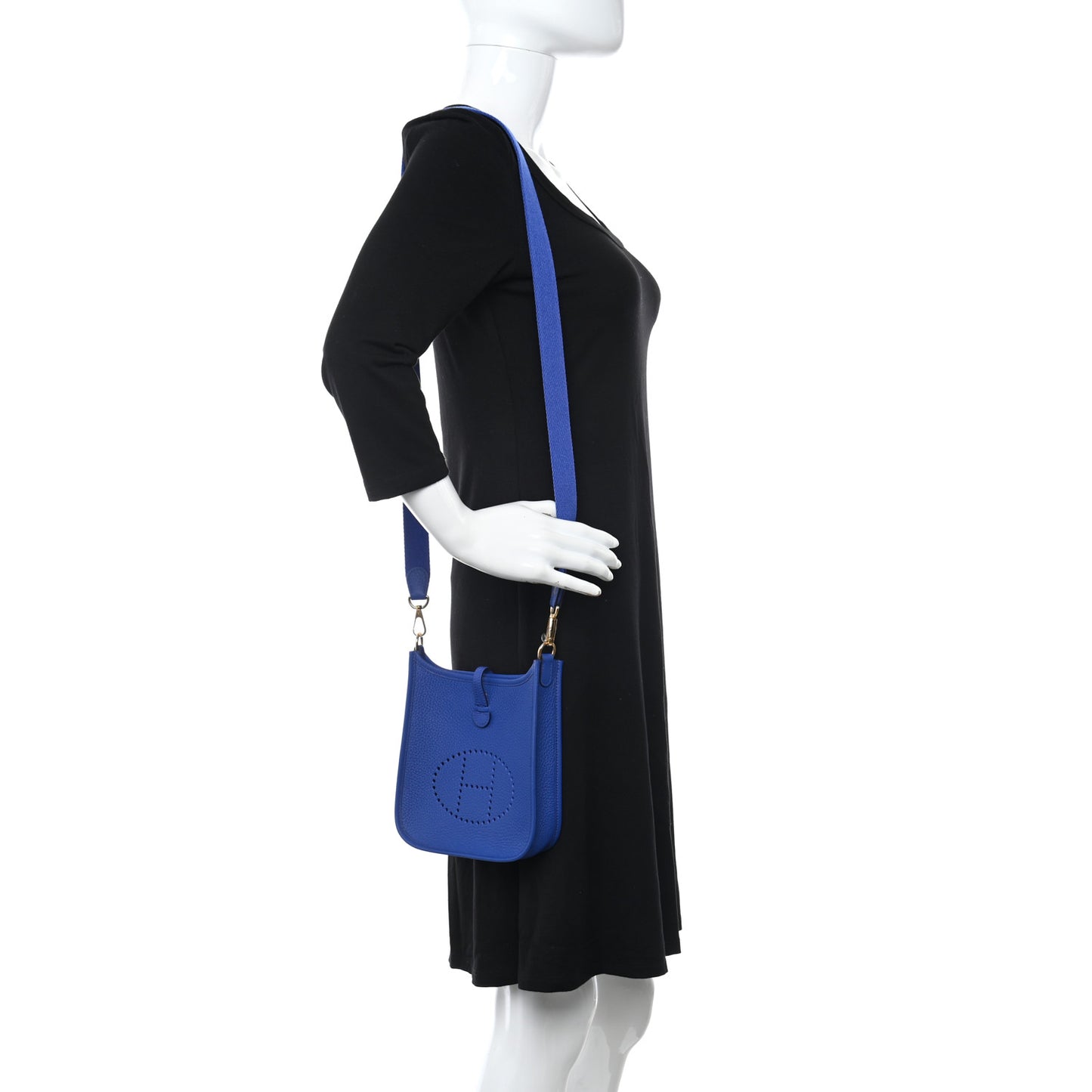 Taurillon Maurice Evelyne TPM Bleu France