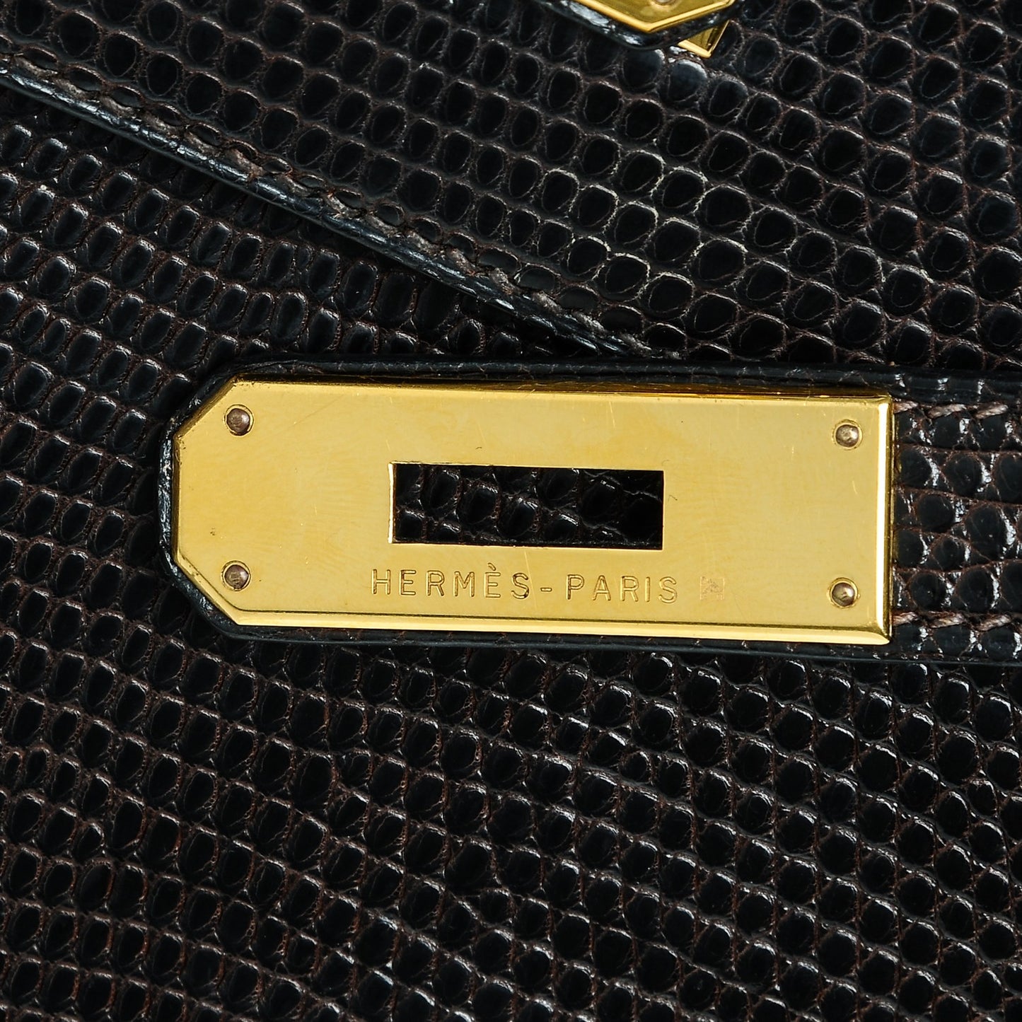 Shiny Lizard Kelly 28 Havane