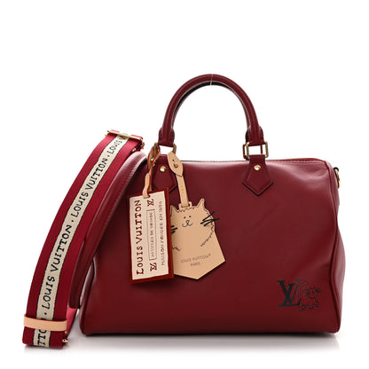 Louis Vuitton Calfskin LV Travels With Grace Coddington Speedy Soft 30 Plum Plum 1 of 9