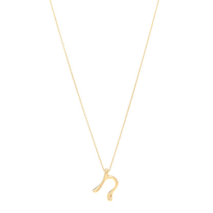Tiffany 18K Yellow Gold Elsa Peretti Letter N Pendant Necklace 1 of 4
