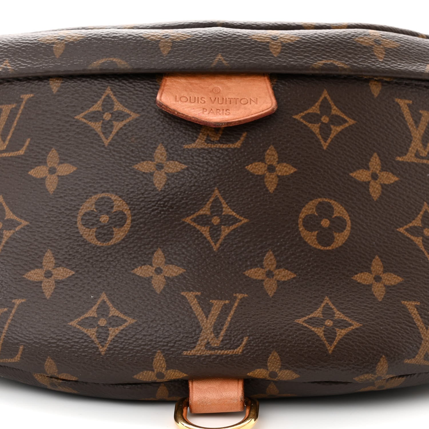 Louis Vuitton LOUIS VUITTON Monogram Bumbag 7 of 10