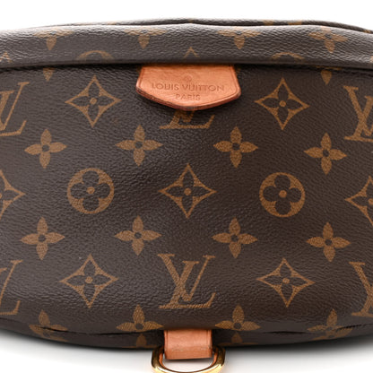 Louis Vuitton LOUIS VUITTON Monogram Bumbag 7 of 10