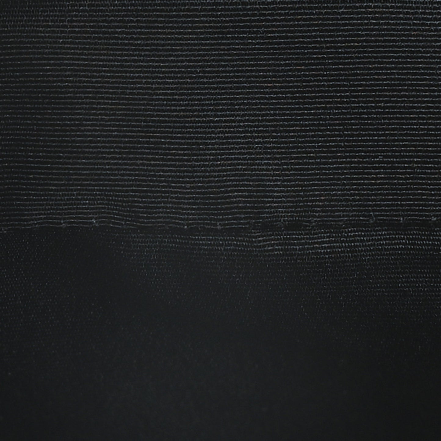 Calfskin Snake Embossed Snapshot Camera Bag Black White Silver