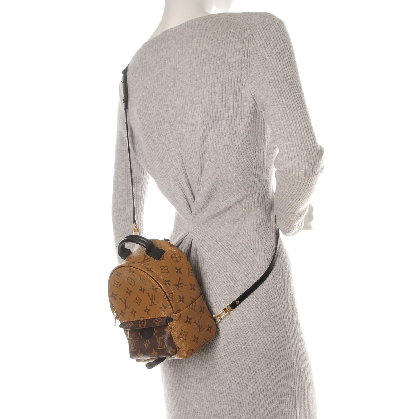 Reverse Monogram Palm Springs Backpack Mini