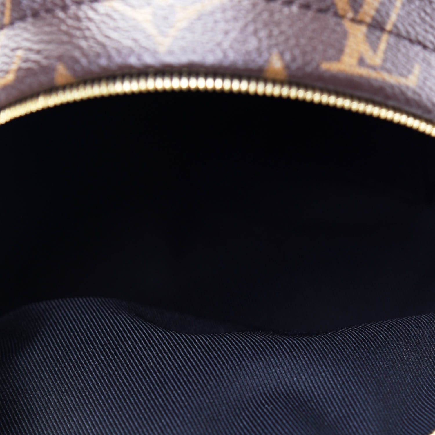 Louis Vuitton Monogram Palm Springs Backpack Mini 5 of 11