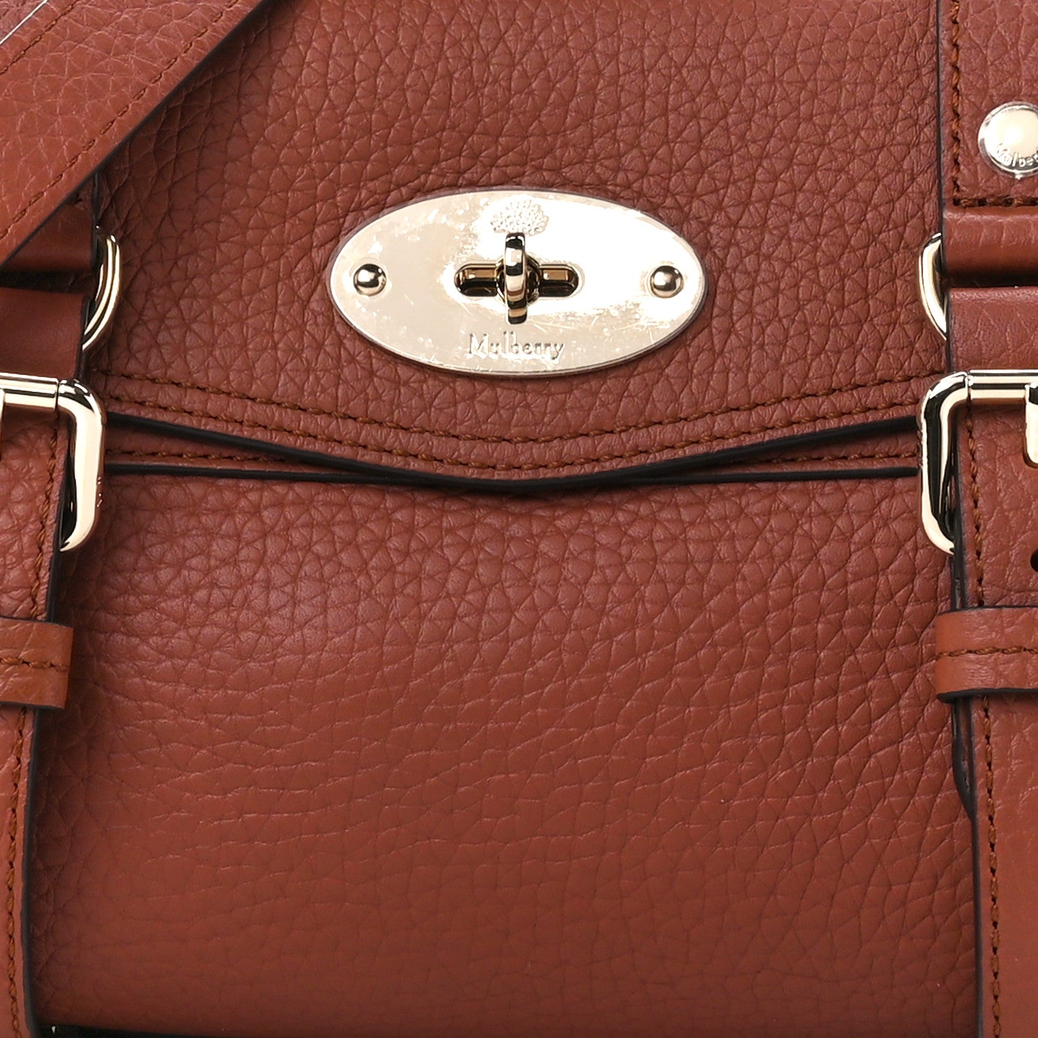Mulberry Heavy Grain Mini Alexa Chestnut 7 of 10