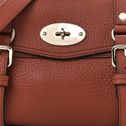 Mulberry Heavy Grain Mini Alexa Chestnut 7 of 10