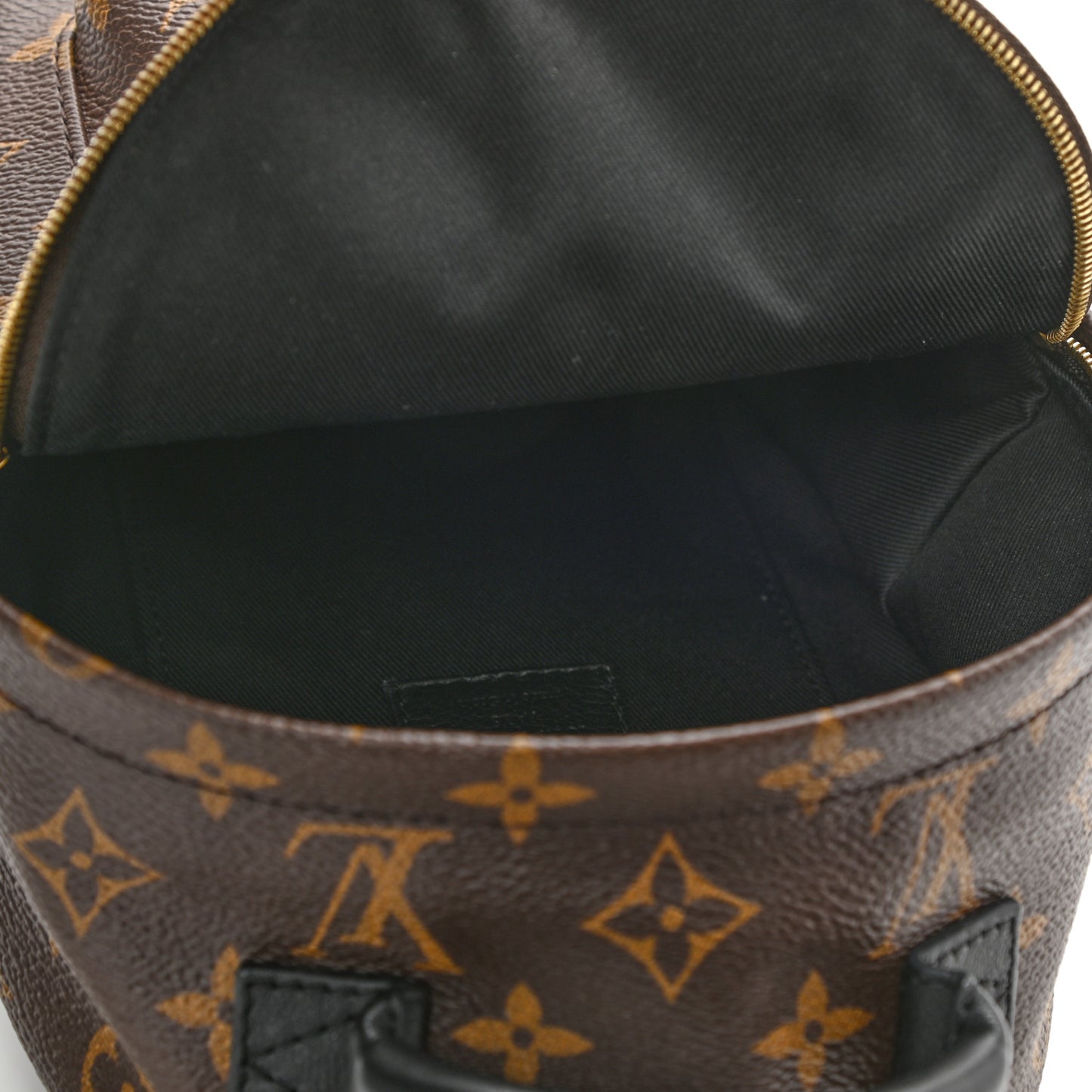 Monogram Palm Springs Backpack Mini