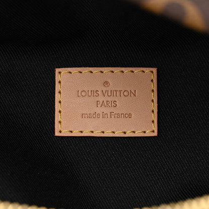 Louis Vuitton Monogram Bumbag 5 of 8