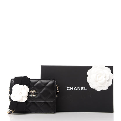 Chanel Lambskin Quilted My Chanel Lady Card Holder On Chain Black 11 of 11