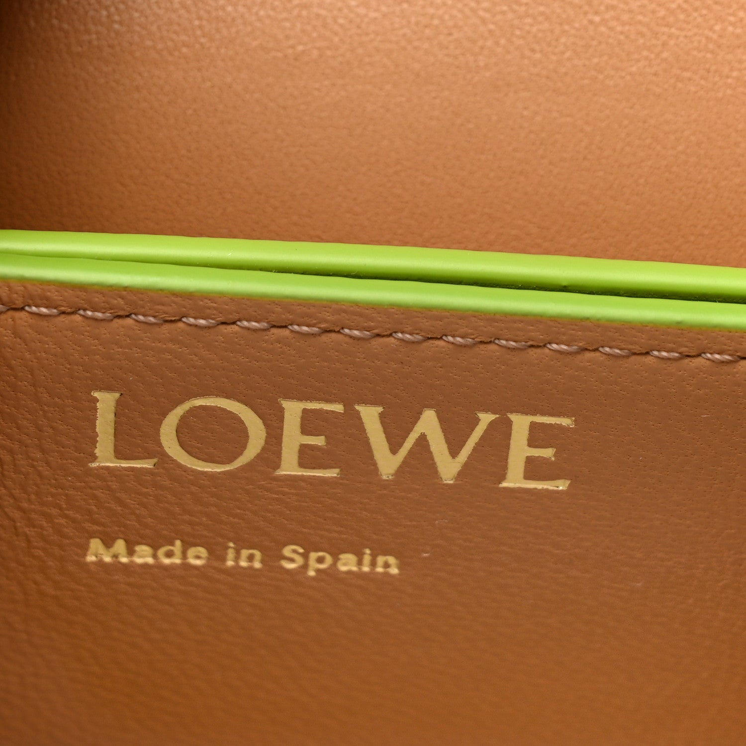 Loewe Silk Calfskin Goya Long Chain Clutch Green Bean 5 of 6