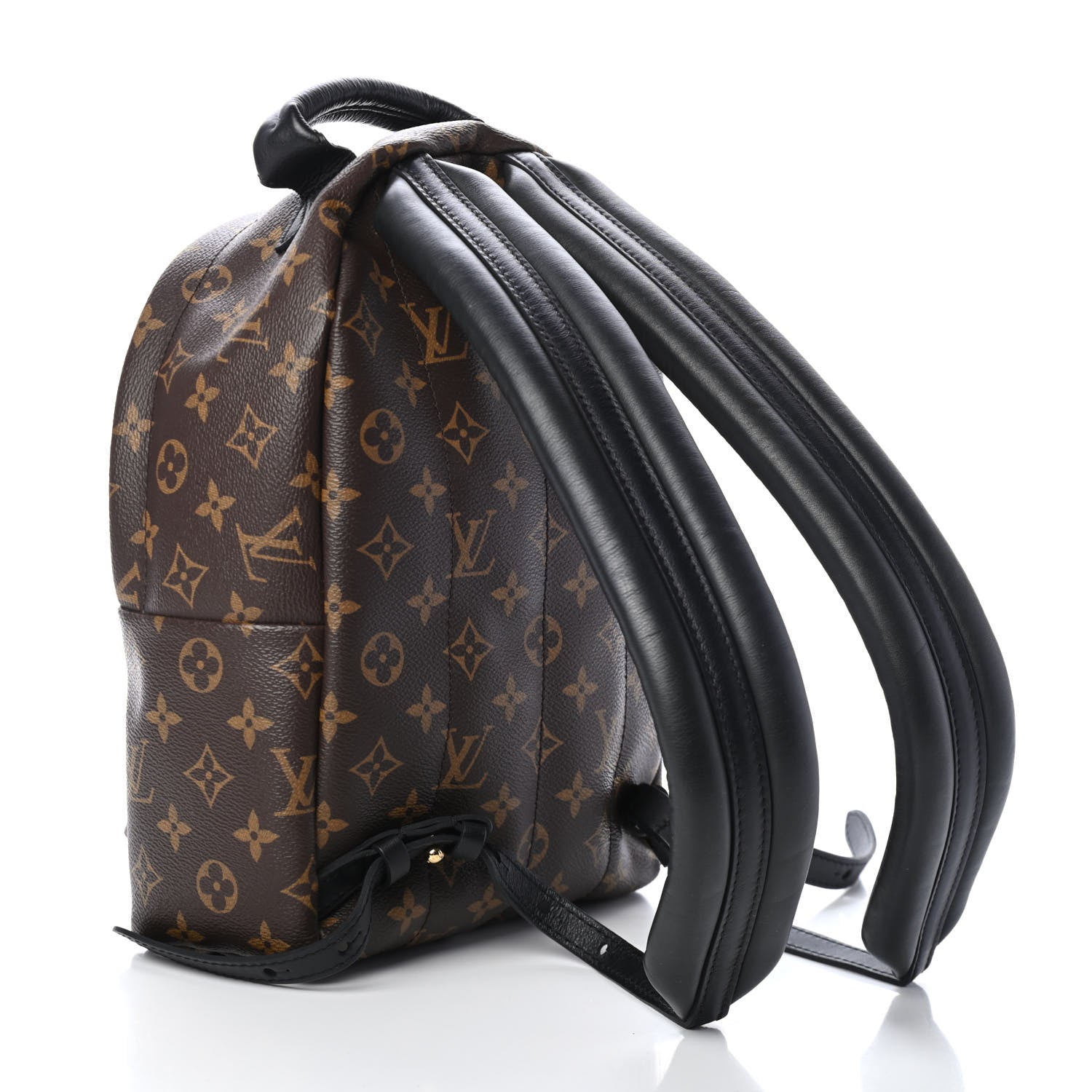 Louis Vuitton Monogram Palm Springs Backpack PM 2 of 4