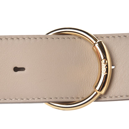 Chloe Smooth Calfskin Little Horses Embroidered Signature Belt Bag Pastel Grey 7 of 9
