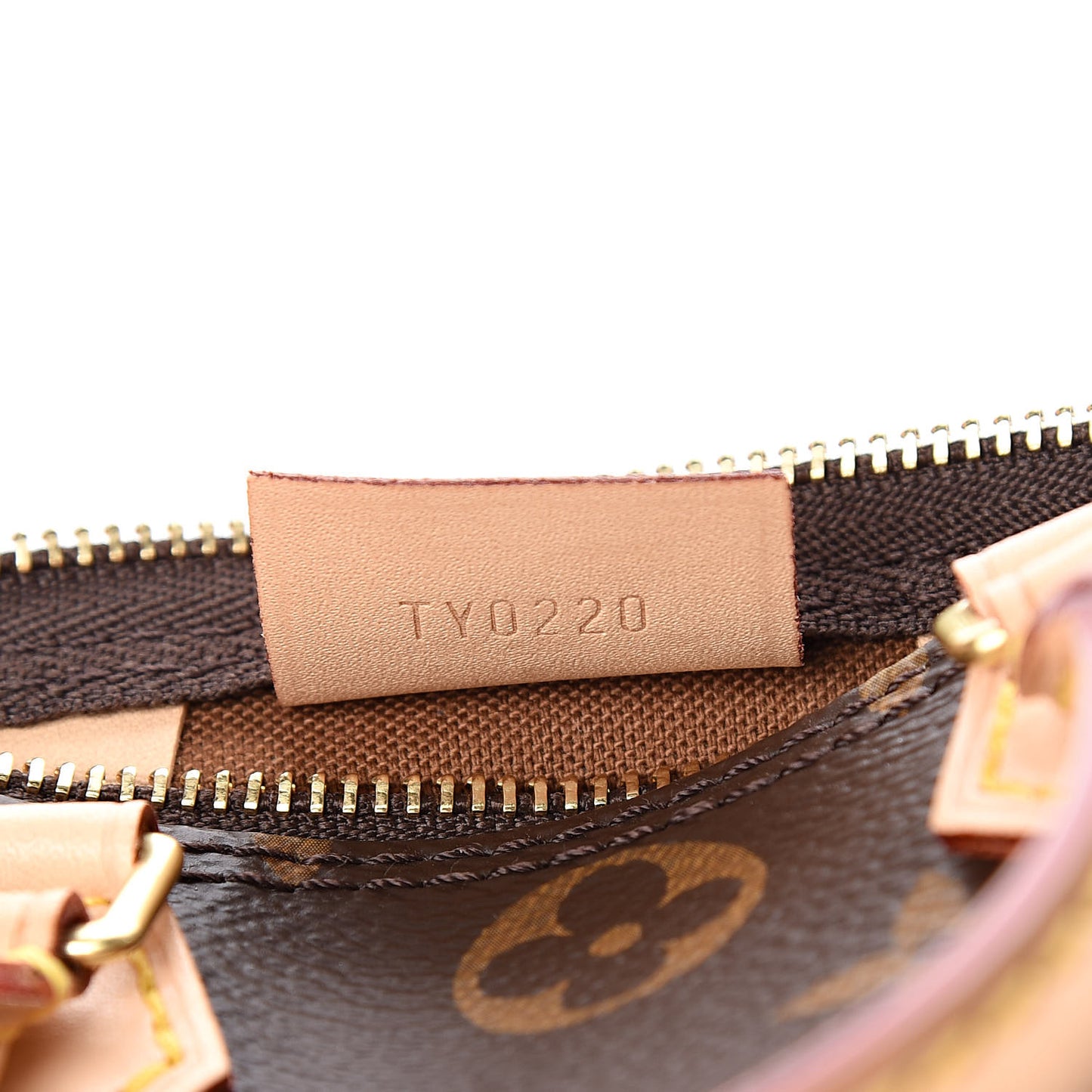 Monogram Nano Speedy