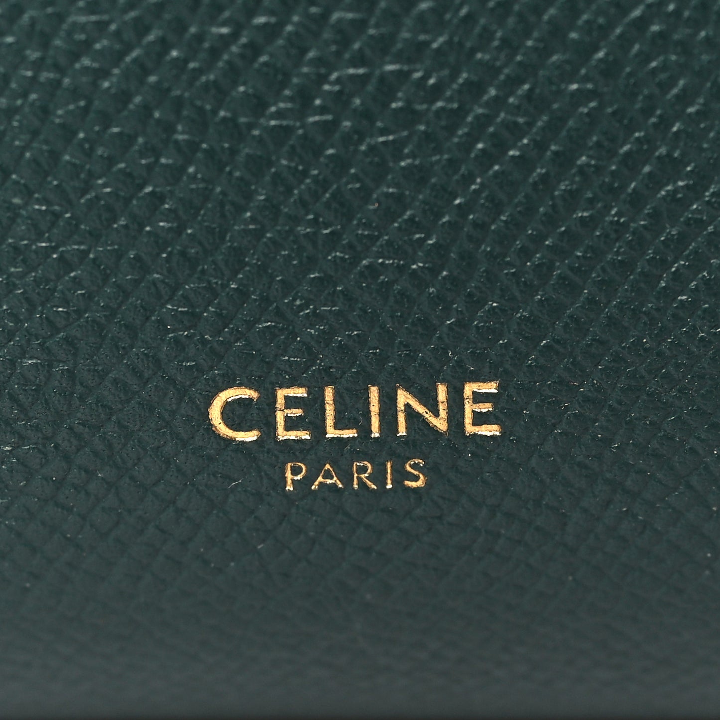 Grained Calfskin Pico Belt Bag Amazone