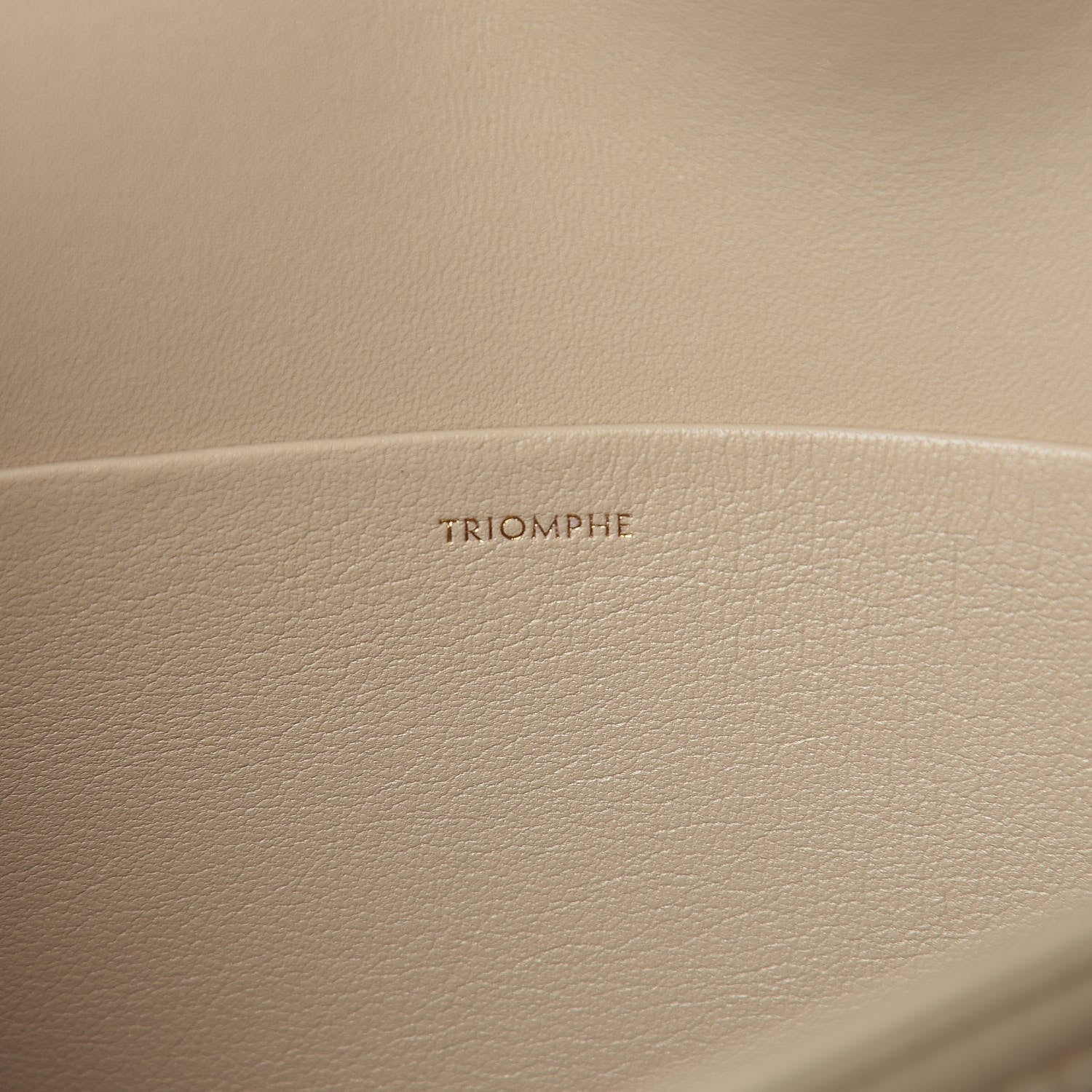 Celine Shiny Calfskin Large Triomphe Nude 8 of 14
