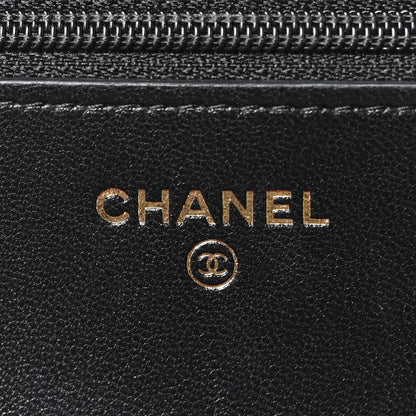 Chanel Lambskin Quilted Chanel 19 Wallet On Chain WOC Black 6 of 11