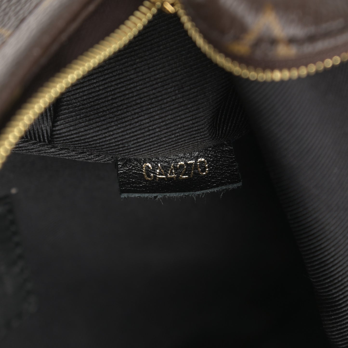 Monogram Palm Springs Backpack Mini