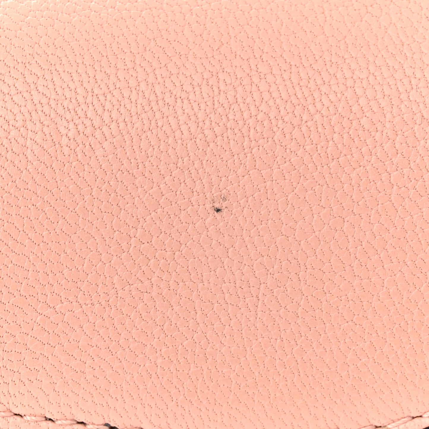 Goatskin Mini Saddle Bag Rose Des Vent